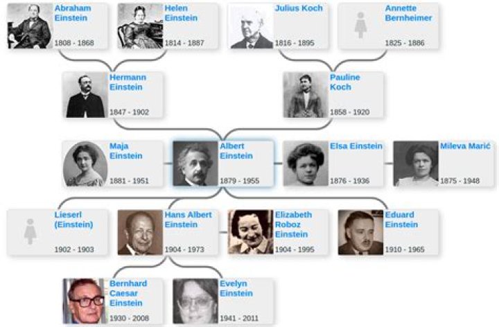 Bob Einstein Family: Is He Related To Albert Einstein?